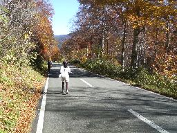 20101023inagawa528B.jpg