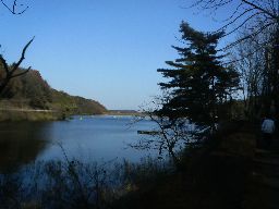 20101219miyazawakoB.jpg